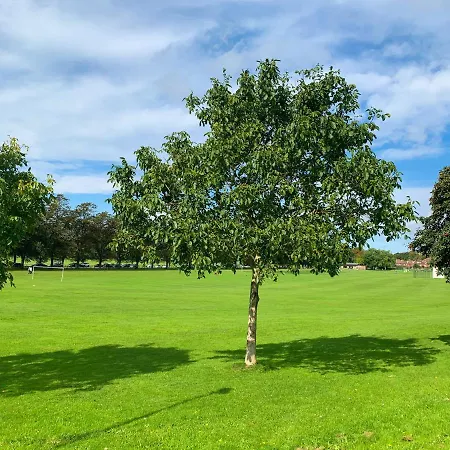 The Racecourse - Quaint Victorian With Free Parking